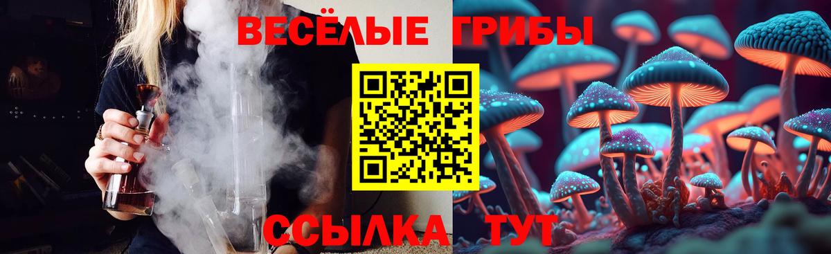 Псилоцибиновые грибы GOLDEN TEACHER Губкинский