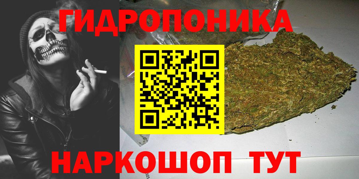 Губкинский  МАРИХУАНА гибрид  Бошки Шишки тримм  Вход с VPN 